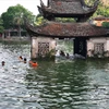 Piscina natural ayuda a reducir número de niños víctimas de accidentes relacionados con el agua en Vietnam