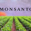 Fallo millonario contra Monsanto genera esperanzas para juicios de víctimas vietnamitas de dioxina