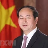 Próxima visita de presidente Dai Quang evidencia que Vietnam prioriza lazos con Egipto