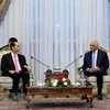 Presidente de Vietnam destaca nexos de amistad tradicional con Egipto 