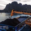 Grupo de Carbón de Vietnam espera vender 41 millones de toneladas en 2019 