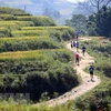 Celebran maratón de montaña internacional en Vietnam