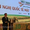 Vietnam por promover su marca de arroz en mercado global 