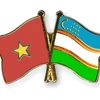 Asociación de Amistad Vietnam-Uzbekistán decidida a fortalecer relaciones bilaterales 