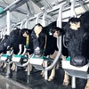 Grupo vietnamita importa cerca de mil 800 vacas de alto rendimiento de Estados Unidos