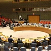 Vietnam expresa preocupación en ONU por escalada del conflicto en Franja de Gaza