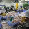 Súbito auge de ventas vietnamitas de pescado Tra a Estados Unidos 