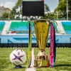 Mayor trofeo de fútbol sudesteasiático llega a capital de Vietnam