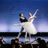 Pondrán en escena ballet clásico mundial Giselle en Ciudad Ho Chi Minh