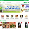 Debuta mercado electrónico de productos agrícolas limpios en Vietnam 