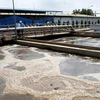 Inauguran en Ciudad Ho Chi Minh exposición internacional sobre suministro de agua