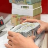 Vietnam registra incremento de remesas pese a aumento de tasa de interés 
