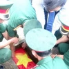 Rinden homenaje póstumo a internacionalistas vietnamitas caídos en Laos