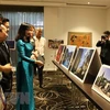 Pinturas lacadas de Vietnam llegan a Australia