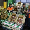 Buscan promover marcas de productos agrícolas vietnamitas en China