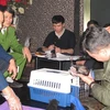 Vietnam rescata a dos ositos tibetanos de contrabando