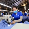 Sugieren a empresas vietnamitas diversificar relaciones comerciales para aprovechar CPTPP
