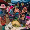 Contribuye festival del brocado a preservación del legado cultural de etnias minoritarias vietnamitas
