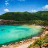 Vietnam, destino atractivo y seguro en Asia y el Pacífico, según Travel Daily News
