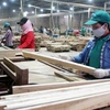 Industria de madera de Vietnam apunta lograr 10 mil 500 millones de dólares en exportación este año