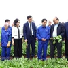 Insta Premier de Vietnam a acelerar aplicación tecnológica en agricultura 