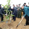 Lanzan campaña de plantación de árboles en provincia vietnamita de Hoa Binh 