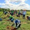 Adoptarán bibliotecas tailandesas iniciativas “verdes” para reducir emisiones de carbono