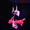 Ganan artistas vietnamitas medalla de plata en el Festival Internacional de Circo en España