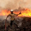 Alto riesgo de incendios forestales en Indonesia