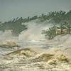 Gana Vietnam primer premio del concurso de fotos sobre el clima en la región de los tifones