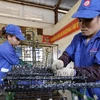 Impulsa Japón inversiones en Vietnam