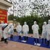 Realizan en Vietnam simulacro de prevención contra epidemia de fiebre porcina