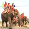 Celebran en Vietnam competencias de elefantes durante Festival de Café de Buon Ma Thuot
