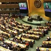 Define Vietnam en la ONU prioridades para alcanzar igualdad de género 