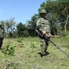 Realizan en Vietnam actividades por el Día Internacional contra las minas antipersonal