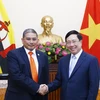 Trazan Vietnam y Brunéi medidas para robustecer relaciones bilaterales 