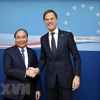 Primer ministro de Países Bajos realizará visita oficial a Vietnam