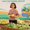 Exporta Vietnam primer lote de mangos a Estados Unidos