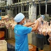 Proyecta filial de empresa tailandesa exportar productos avícolas vietnamitas en 2020