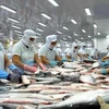  Busca Vietnam ampliar la exportación del pescado Tra hacia América Latina