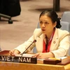 Destacan apoyo internacional a candidatura de Vietnam para el Consejo de Seguridad de la ONU