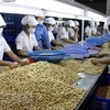  Resaltan oportunidades para empresas vietnamitas en Medio Oriente y África