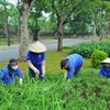 Intercambian expertos vietnamitas y extranjeros sobre capacitación profesional en Medio Ambiente 