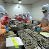 Beneficiará TLC con cero impuesto a exportación de productos acuícolas de Vietnam a Europa