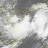 Anuncian en Vietnam formación en Mar del Este de tormenta tropical Wipha