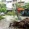 Premier de Vietnam urge a implementar medidas para superar secuelas del tifón Wipha
