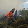 Detectan casi 19 mil focos de incendio en Sudeste Asiático y Papúa Nueva Guinea 