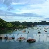 Busca Vietnam soluciones para promover desarrollo turístico