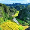 Vietnam entre los diez países con mayor crecimiento turístico en el mundo