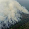 Indonesia refuerza lucha contra incendios forestales